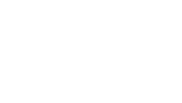 Bidvest Services