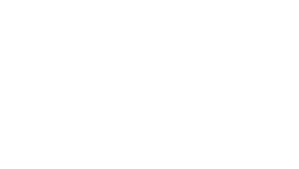 Bidvest