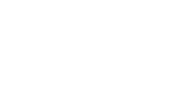 Cargo Carriers