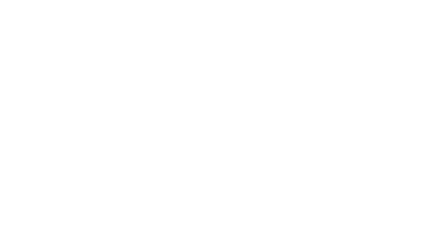 FlySafair